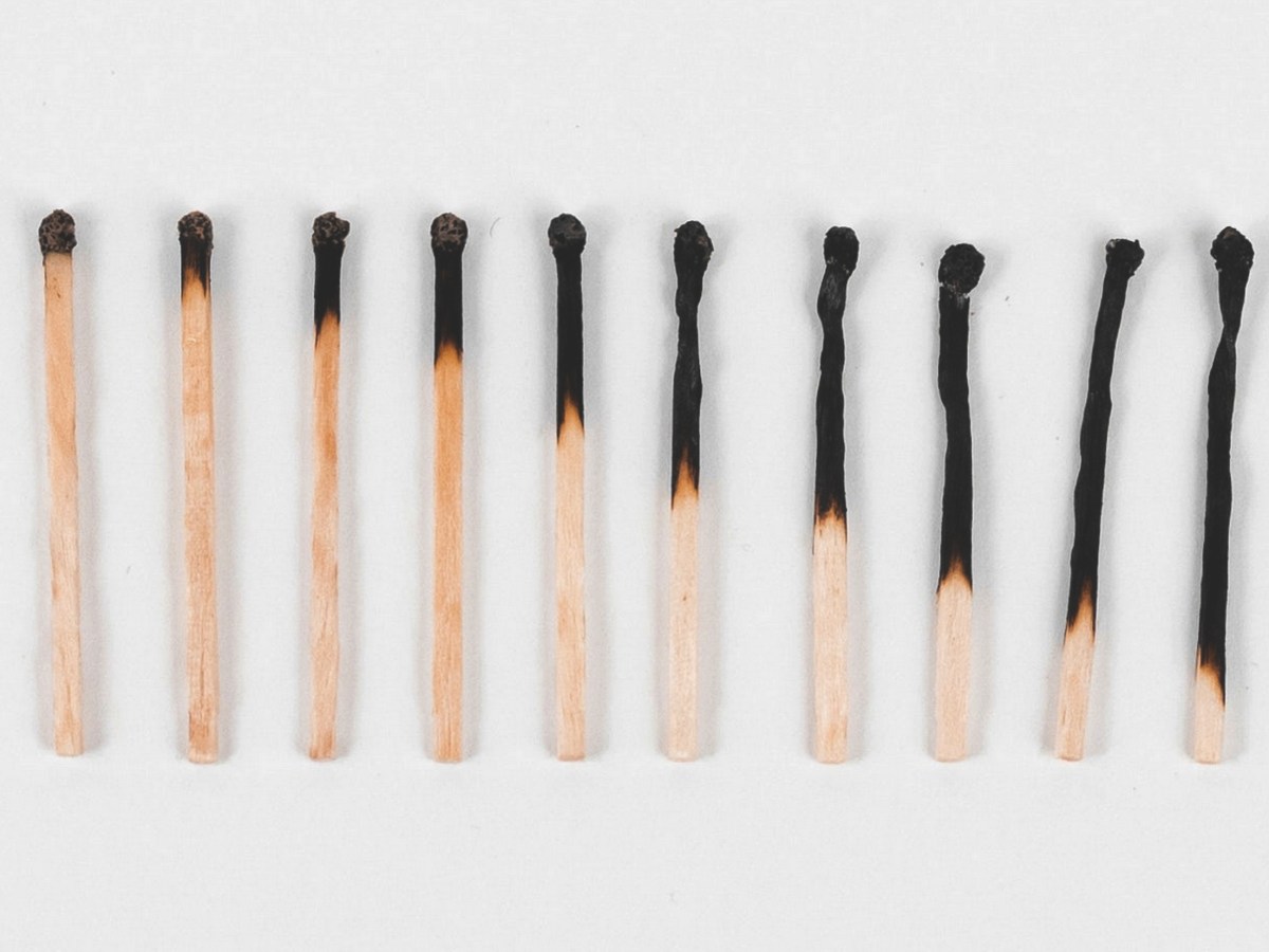 Death reminders lower attitudes towards&nbsp;animals